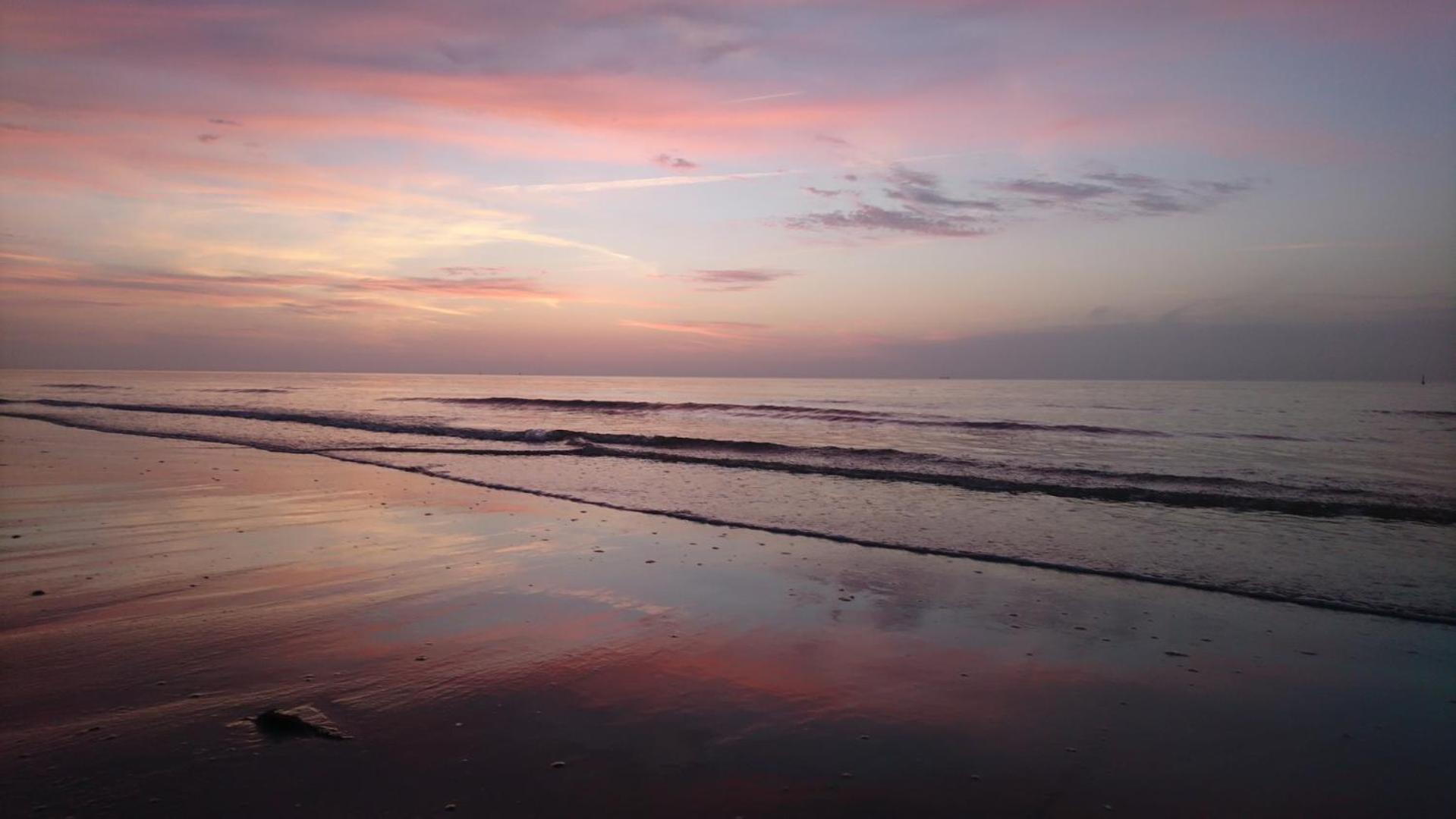 Haus Seeigel Stranddistel นอร์เดอร์ไน ภายนอก รูปภาพ